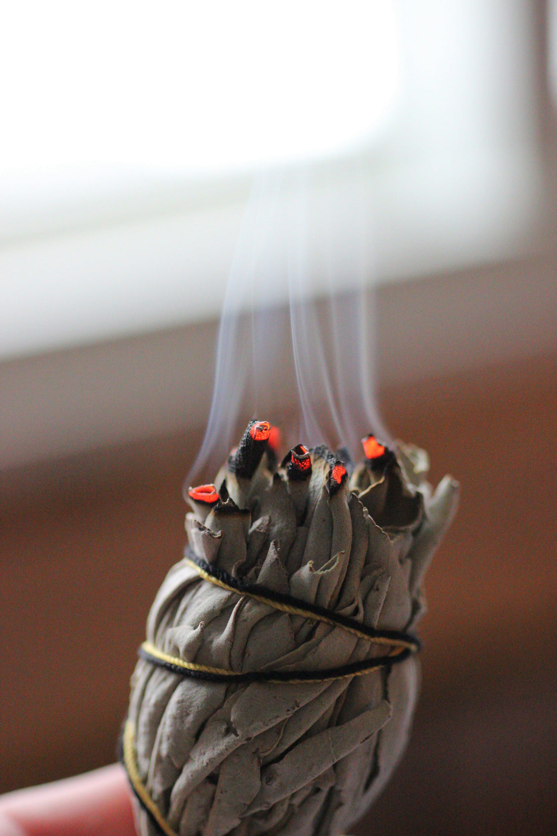 Palo Santo vs. Sage: Which One Should You Use?